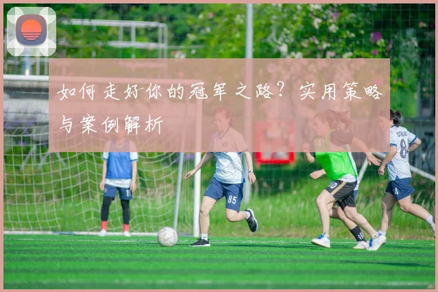 如何走好你的冠军之路？实用策略与案例解析